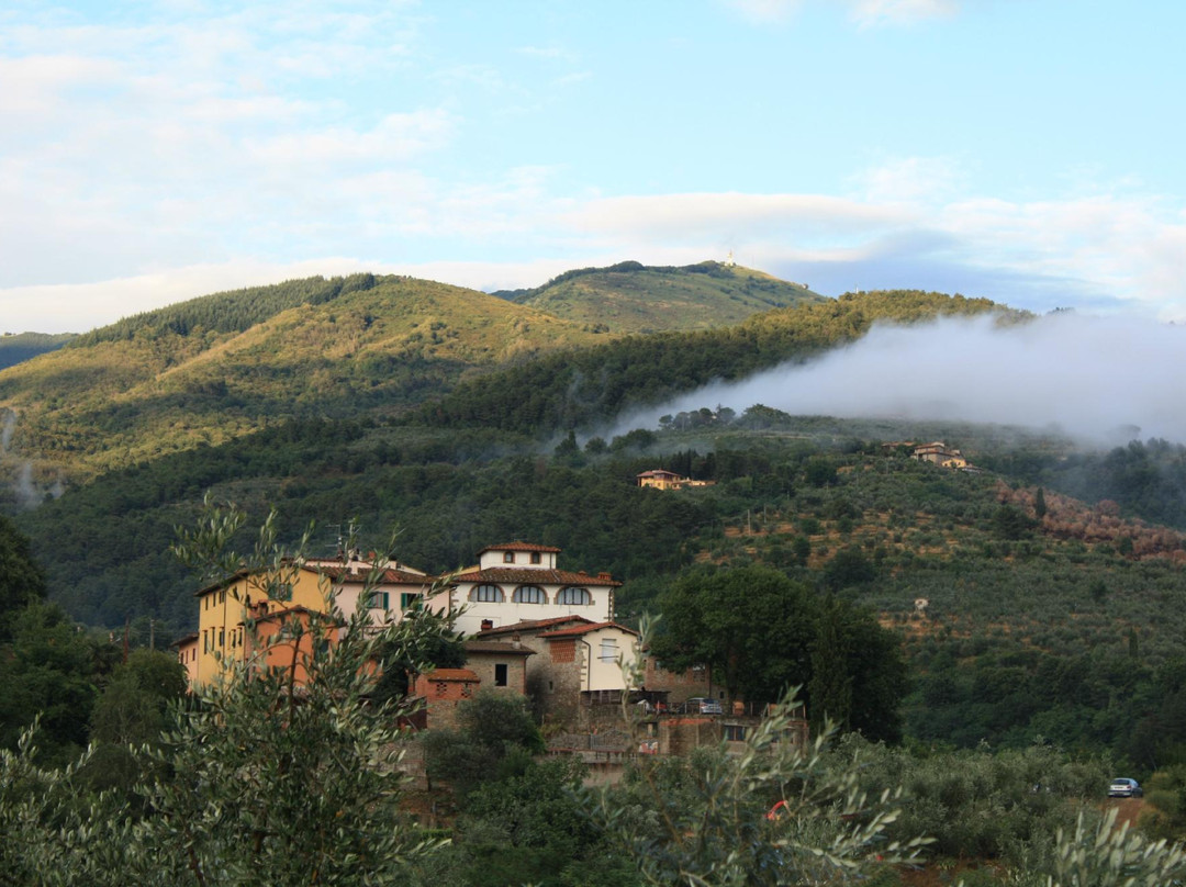 Castelfranco di Sopra酒店住宿-Il Maraviglio B&B