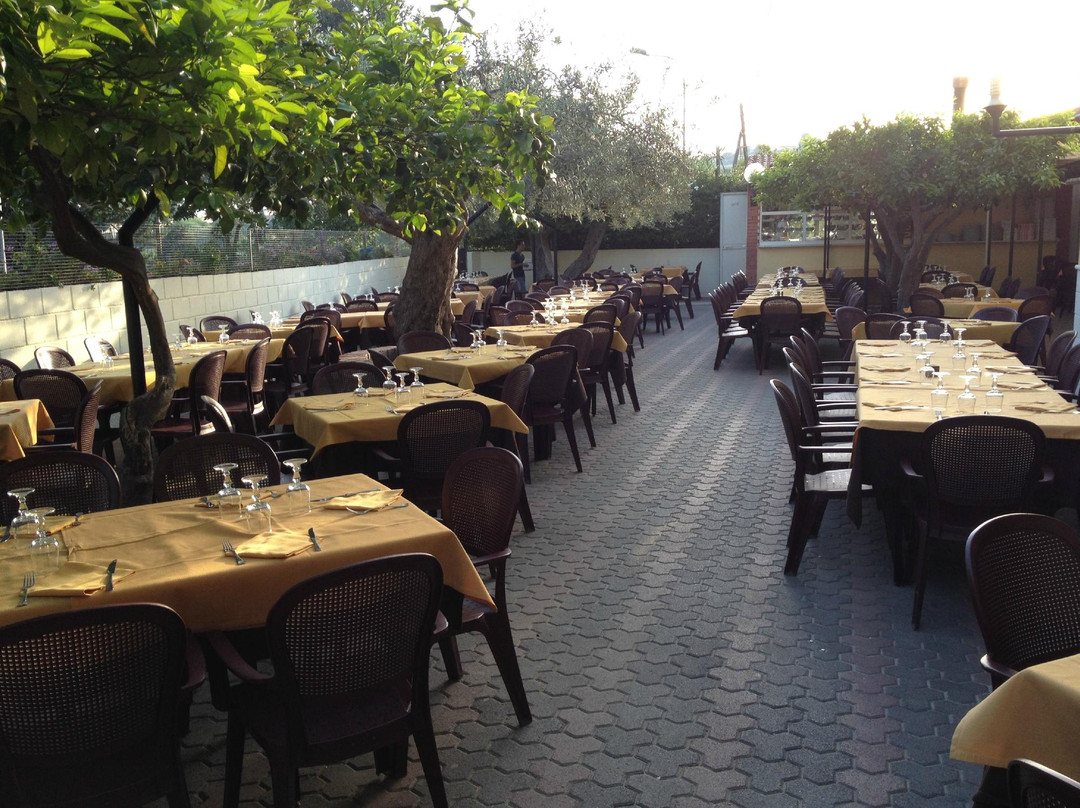 Pizzeria Il Vecchio Mulino Ristorante