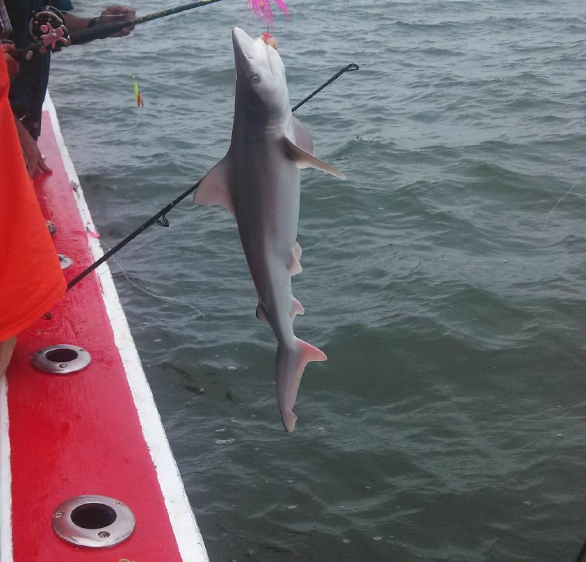 Martha Marie Fishing Charters-刘易斯必去景点