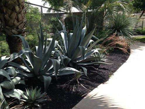 朴根佑-圣安东尼奥市必去景点