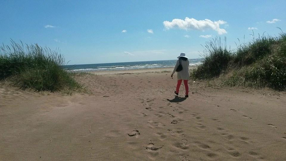 Tentsmuir Forest-Tayport必去景点