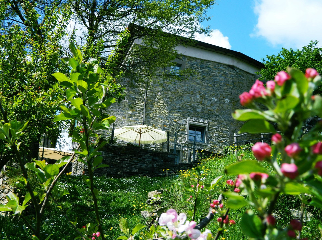 Agriturismo Casa Turchetti
