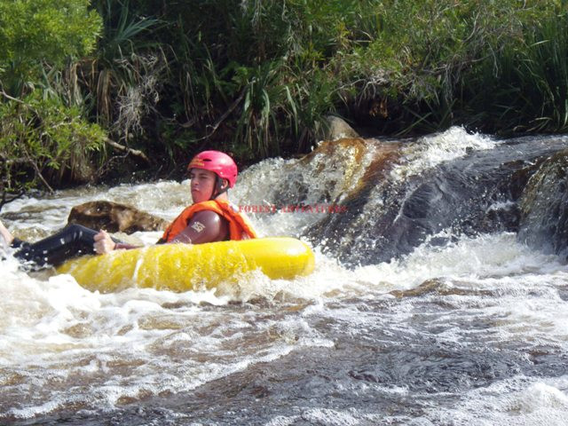 SA Forest Adventures Kleinmond-小月必去景点