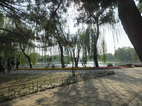 玉渊潭公园-北京市必去景点