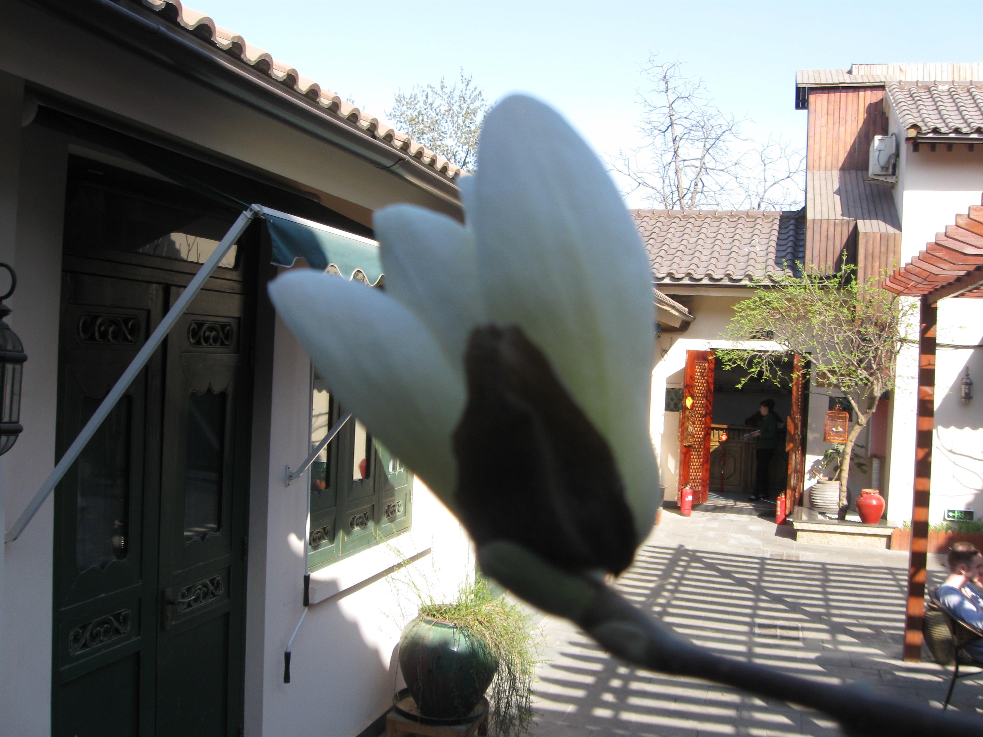 景山花园酒店-客卧