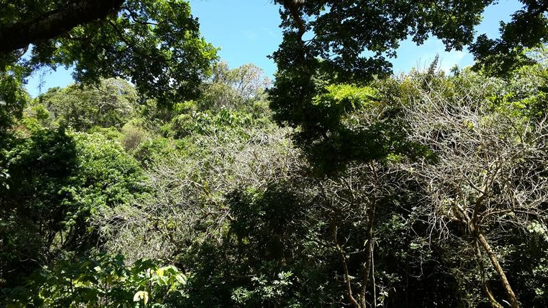 Parque Recreativo Los Manantiales景点图片