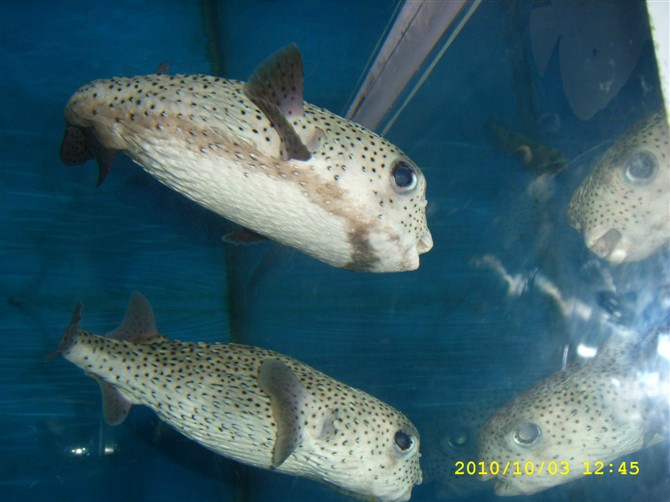 大连老虎滩广场-大连市必去景点