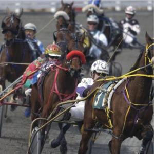 Experience PEI-夏洛特镇必去景点