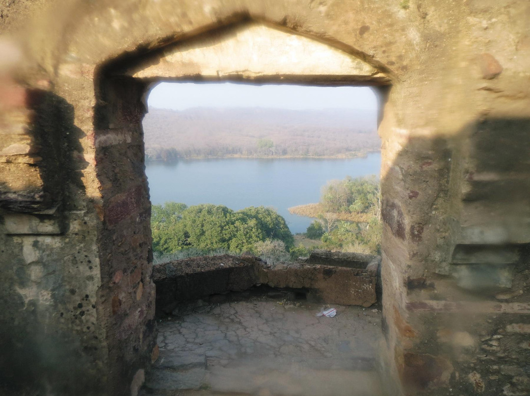 Khandar Fort景点图片