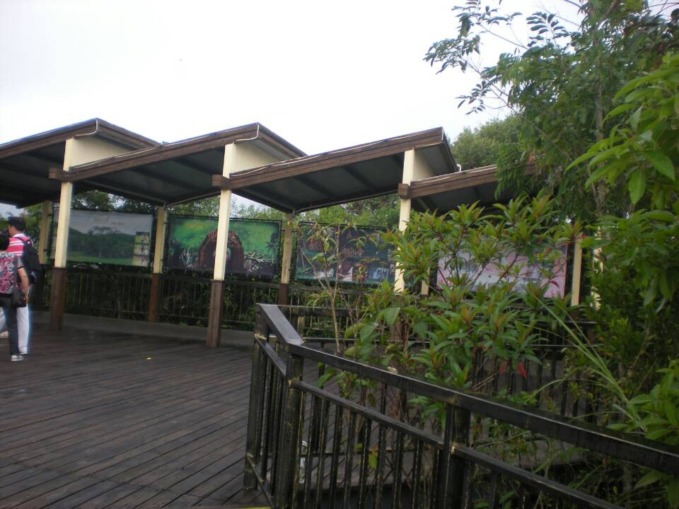 呀诺达雨林文化旅游区景点图片