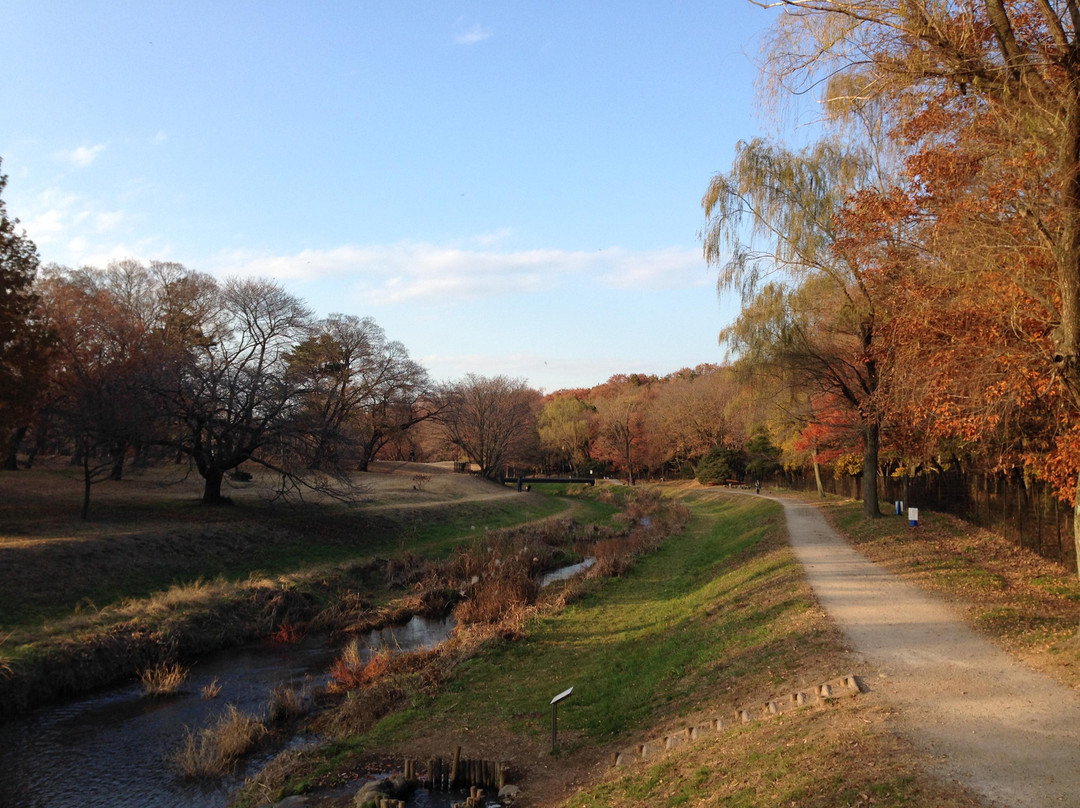 Nogawa Park-三鹰市必去景点