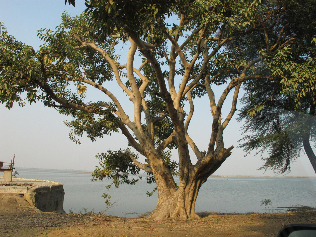 Haleji Lake-Thatta必去景点
