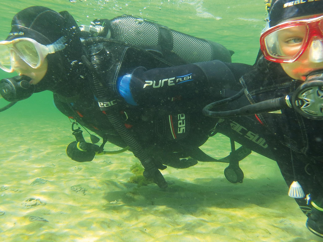 PADI 5 Star Dive Center Crete景点图片