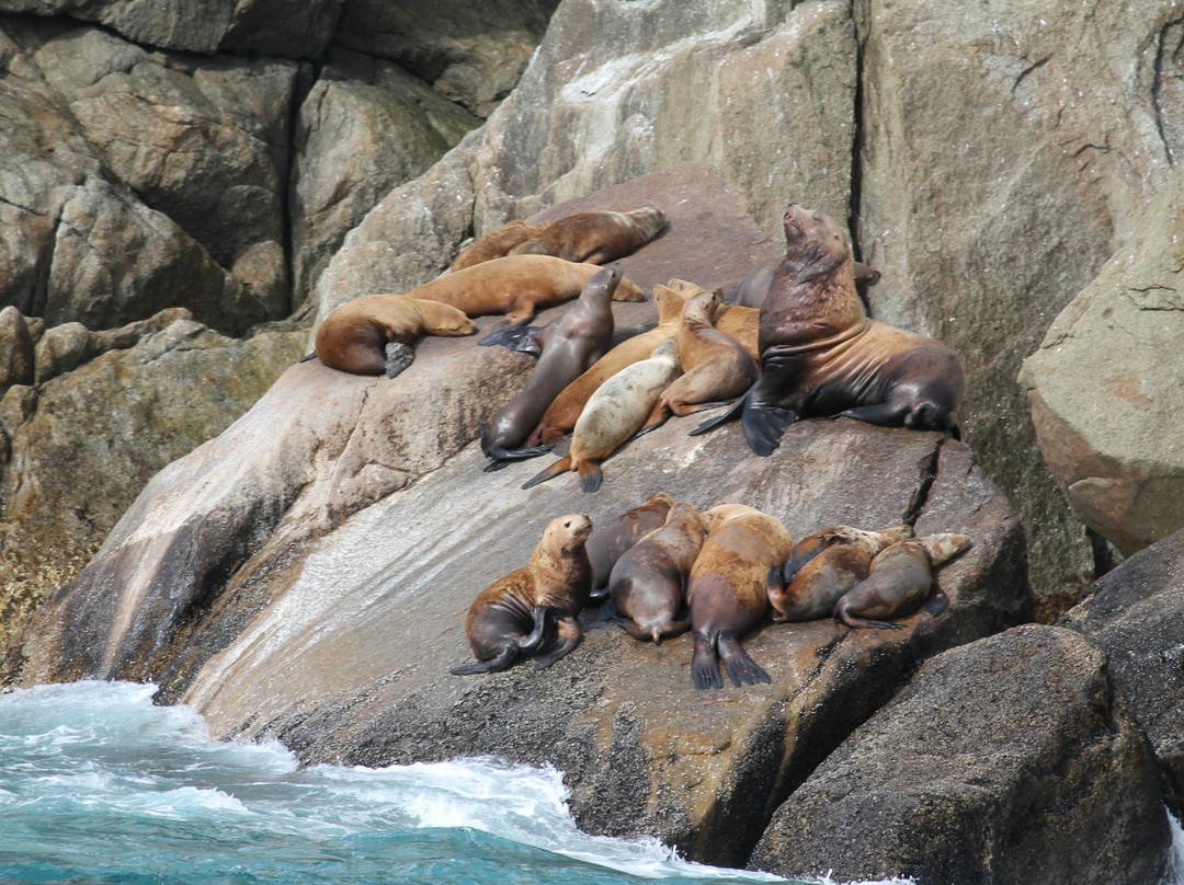 Kenai Fjords Tours-苏厄德必去景点