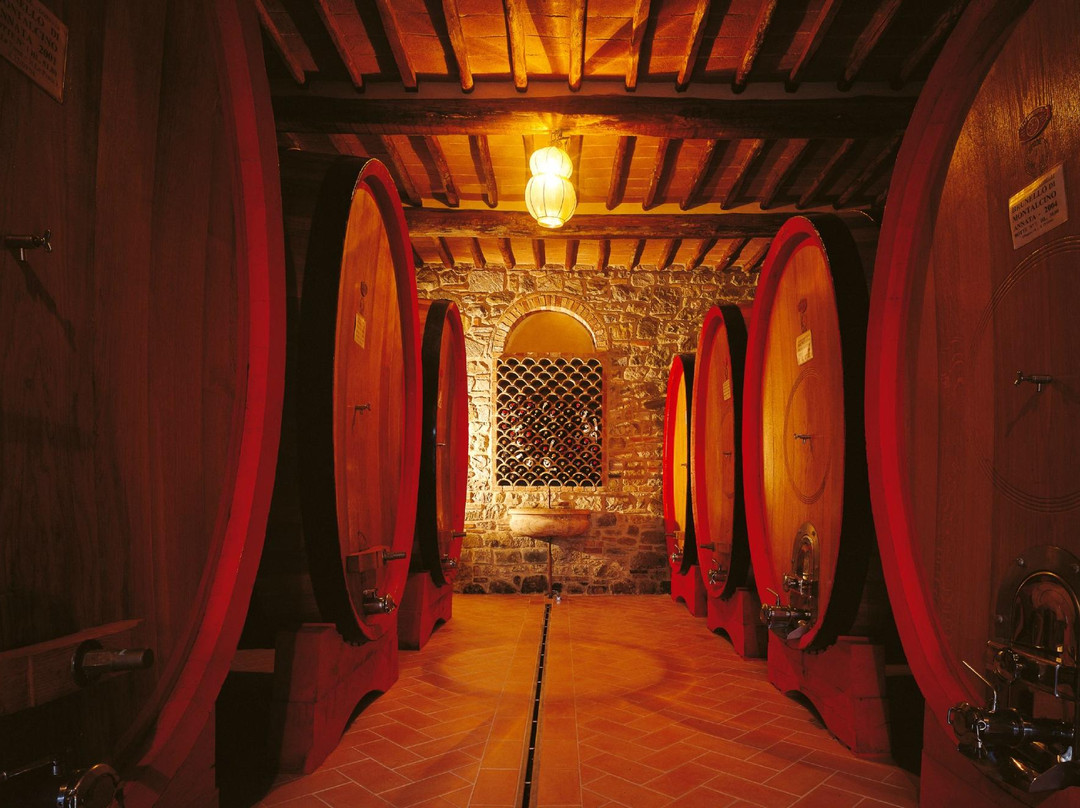 Maremma Wine and Company景点图片