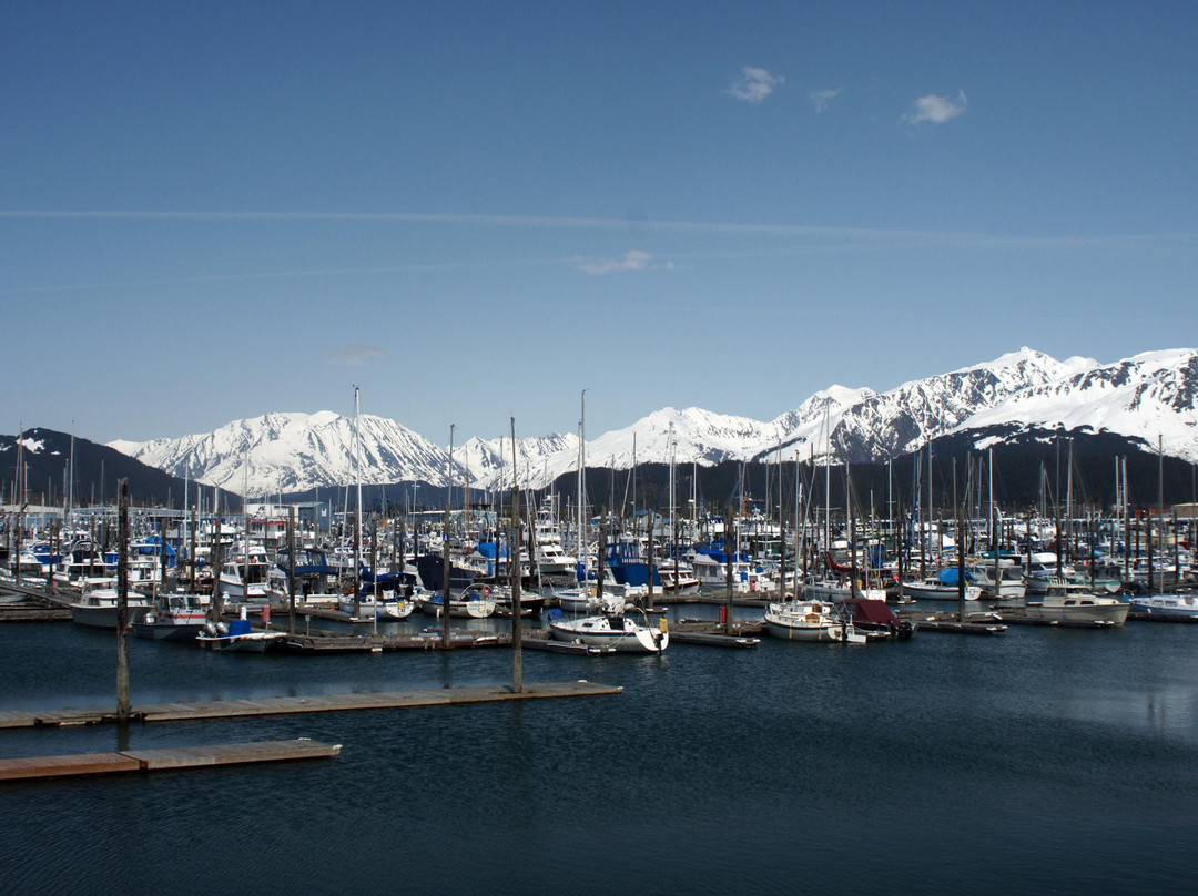Seward Boat Harbor-苏厄德必去景点