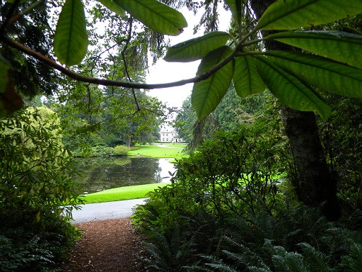 Bloedel Reserve景点图片