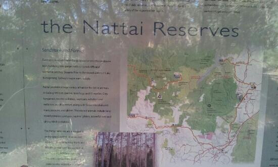 Nattai National Park-蓝山山脉必去景点