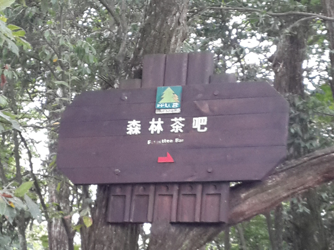 坪坝营-咸丰县必去景点