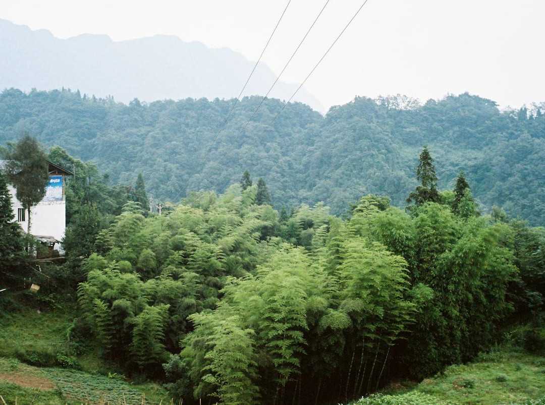 碧峰峡天桥农家乐主图