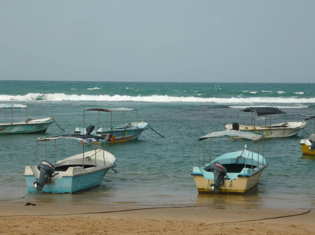Coral Sanctuary-希克杜沃必去景点