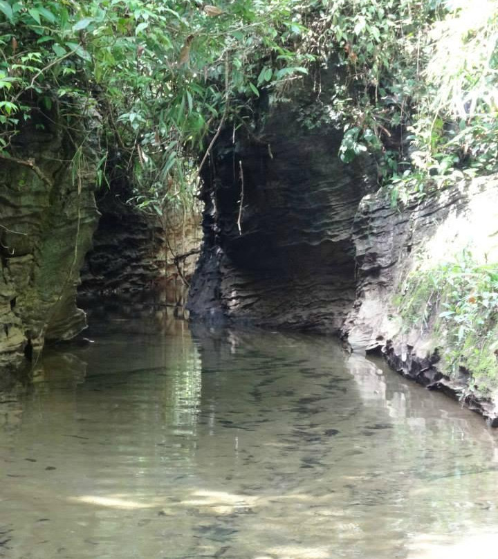 Bukit Lawang Holiday-武吉拉旺必去景点