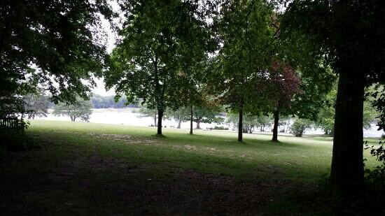 Tilgate Park景点图片