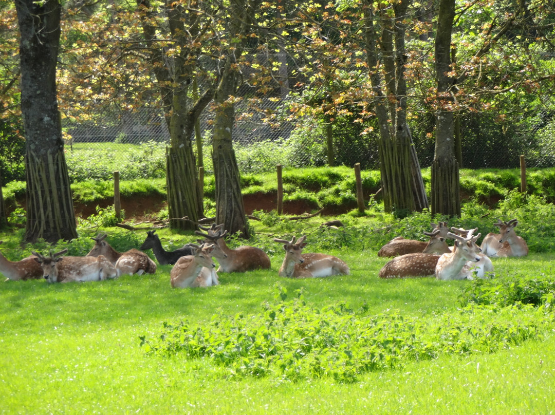 Longleat-沃敏斯特必去景点