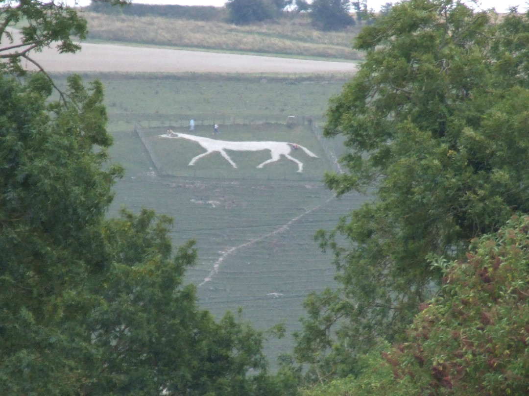 Pewsey White Horse景点图片