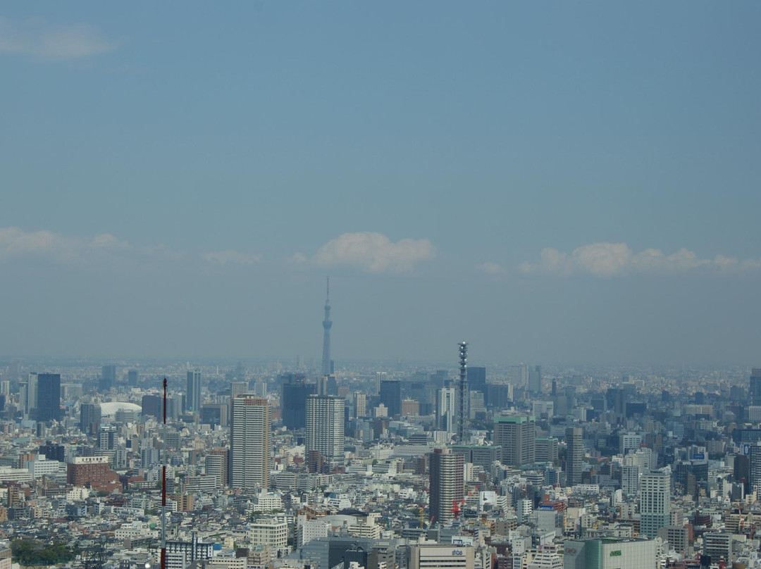Tokyo Metropolitan Government Building Observation Decks-Nishishinjuku必去景点
