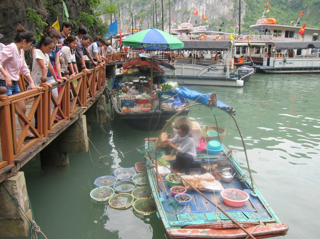 Lan Ha Bay-卡巴必去景点