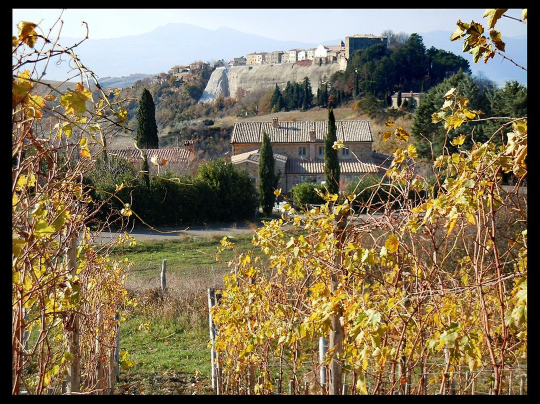 Podere Orto Wine Country House