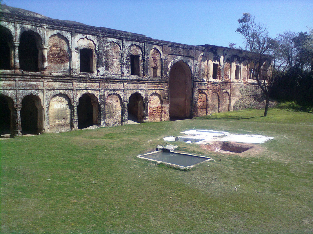 Sujanpur Fort景点图片