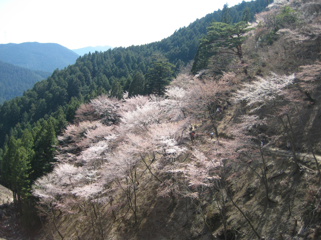 Yoshino-奈良县必去景点