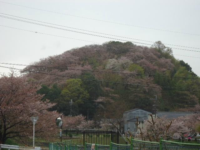 Mimuroyama-斑鸠町必去景点