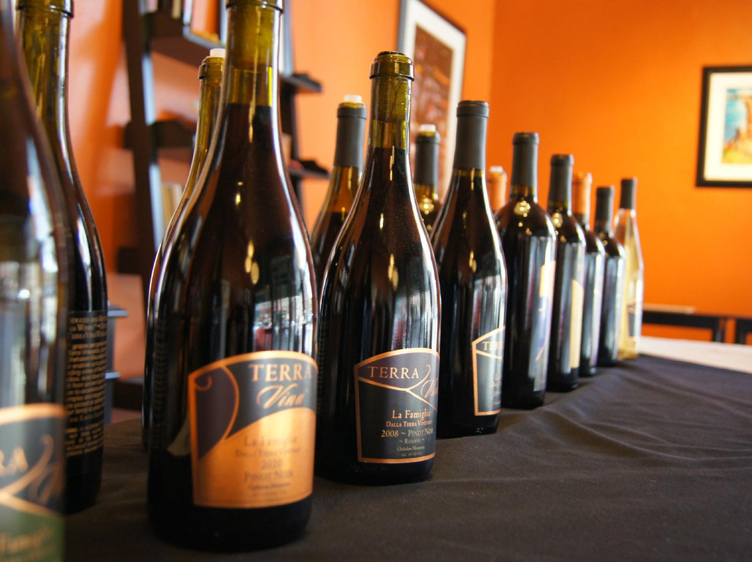 Terra Vina Wines景点图片