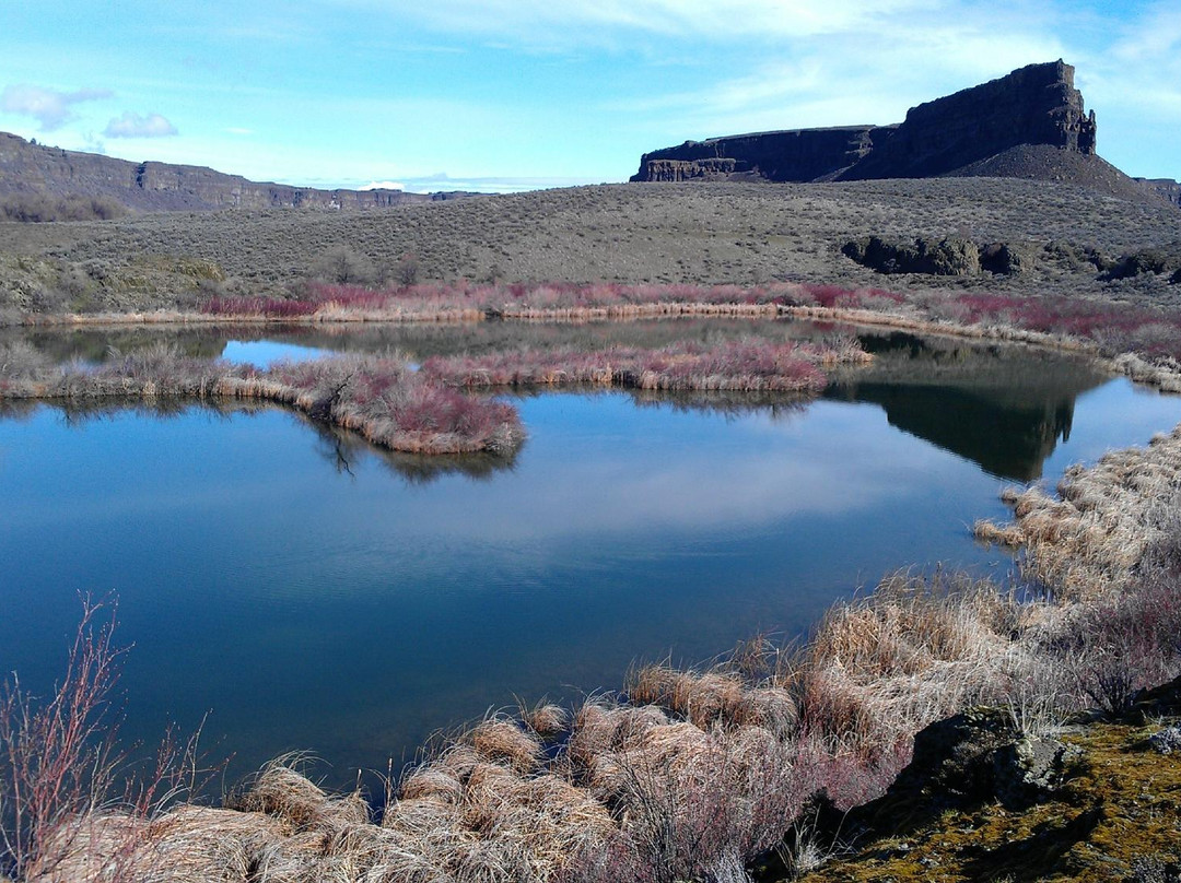 Sun Lakes-Dry Falls State Park景点图片
