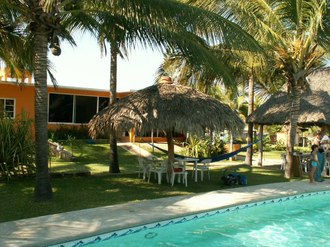 La Tortuguita