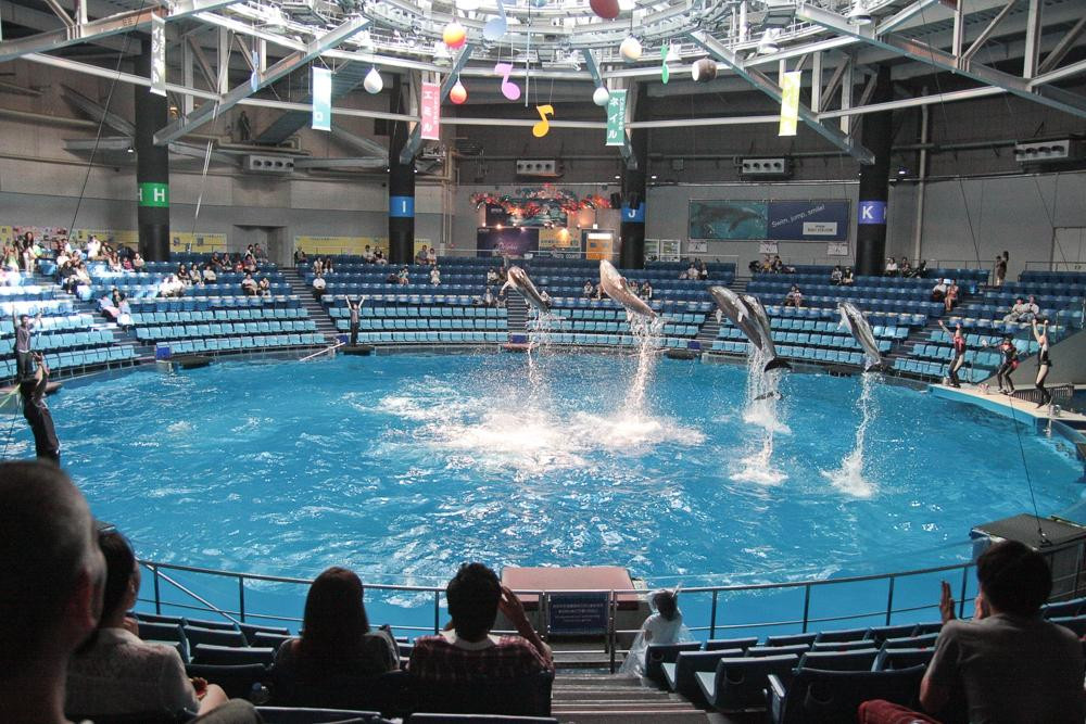 品川水族馆-品川区必去景点