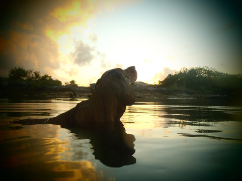 Nativo Tours-图伦必去景点