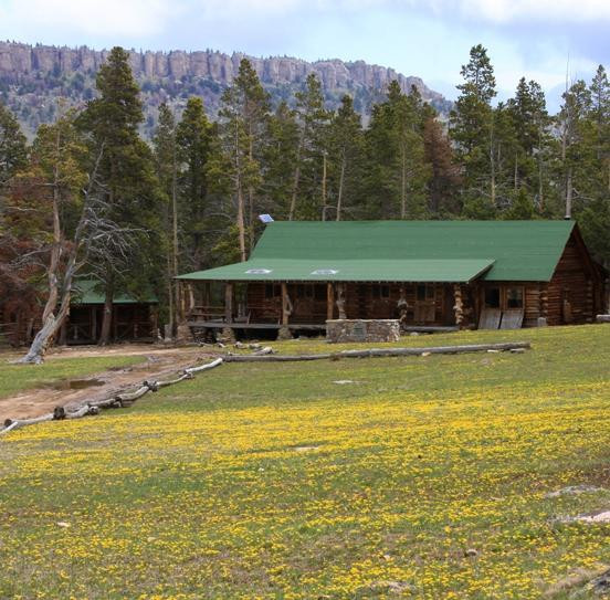 Allen's Diamond 4 Ranch
