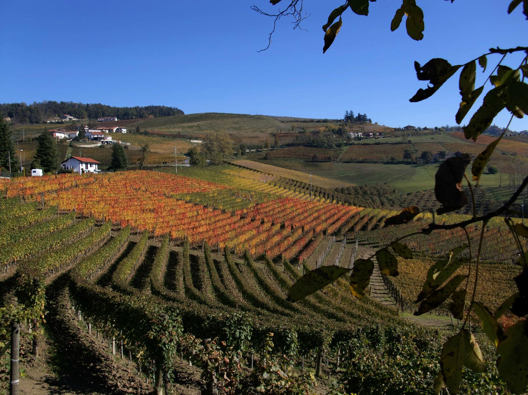 Serravalle Langhe旅游攻略图片