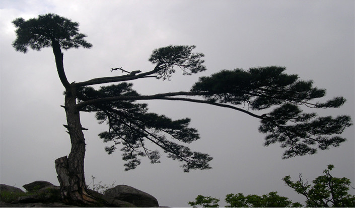 白马尖-霍山县必去景点