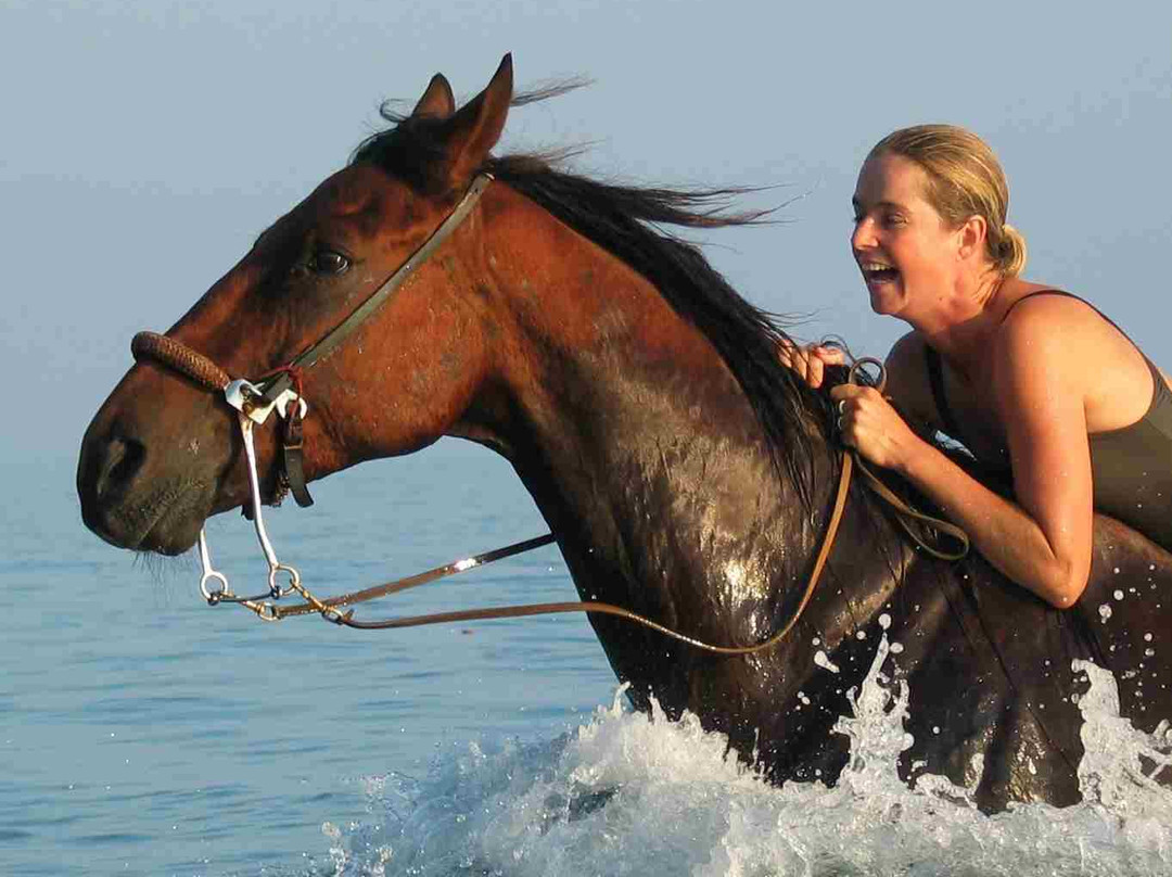 Odysseia Stables-Avdou必去景点