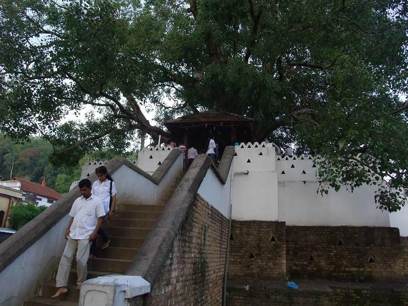 Natha Devale-康提必去景点