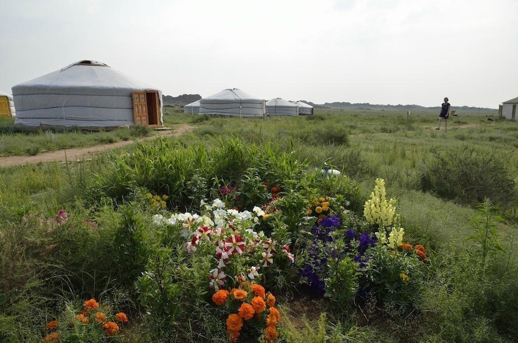 Töv Borkigan Ger Camp-浴室