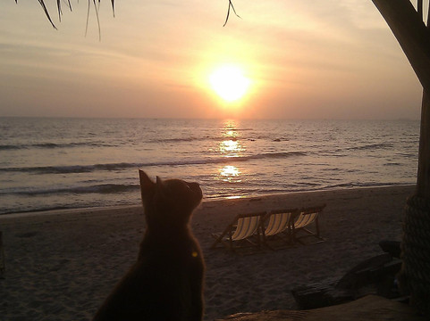 Mixing Bar-甲米必去景点