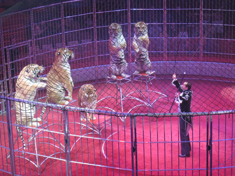 布格里奥纳冬季马戏团-巴黎必去景点