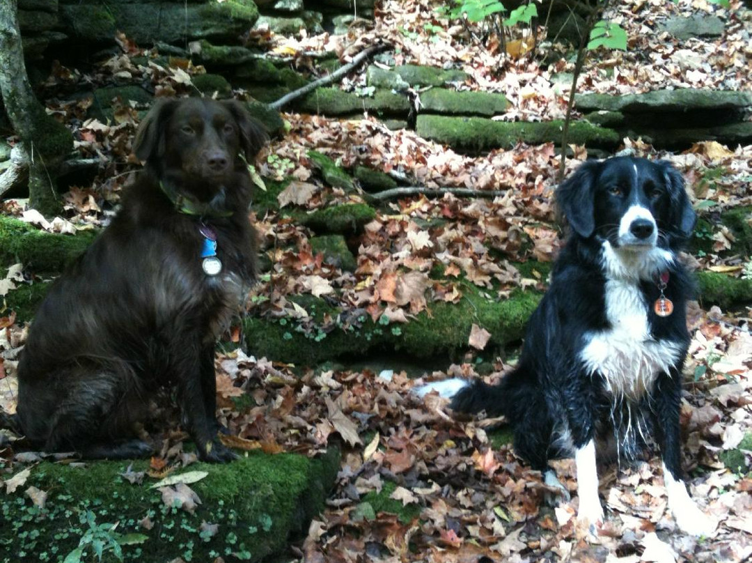 Little Miami Scenic Trail-斯普林菲尔德必去景点