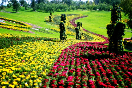 沈阳植物园-沈阳市必去景点